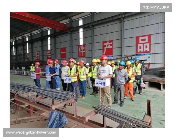 水晶宫主看台重建项目进展顺利，多项前期工程推进中